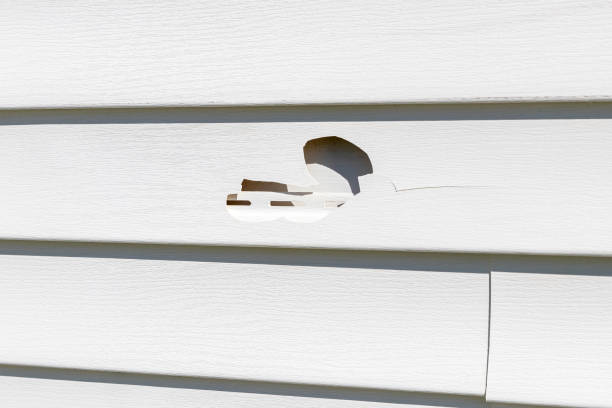 Best Composite Siding  in Centre, AL